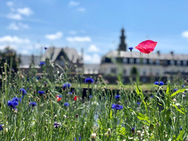 Lannion Quai D'aiguillon (2)
