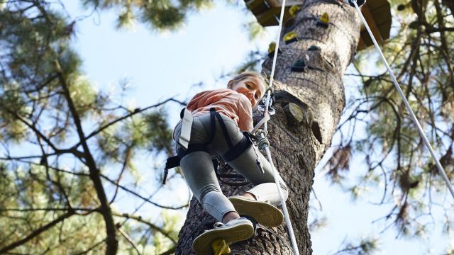 Parc aventure Vivons perchés