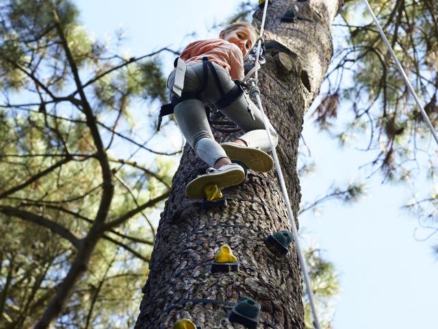 Parc aventure Vivons perchés