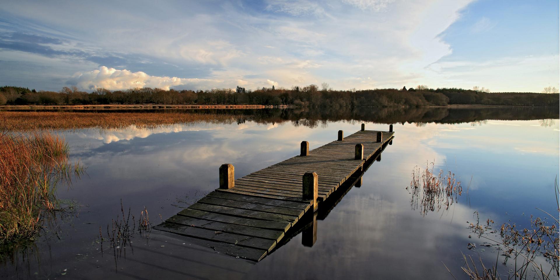 Etang du moulin neuf