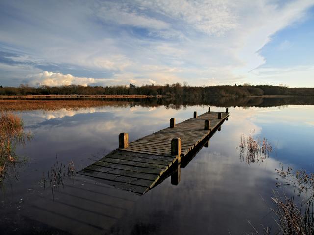Etang du moulin neuf