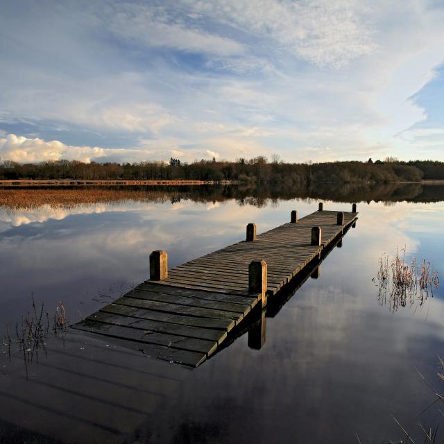 Etang du moulin neuf