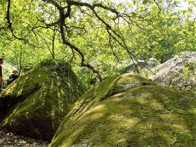 Vallée des Traouiéro à Trégastel