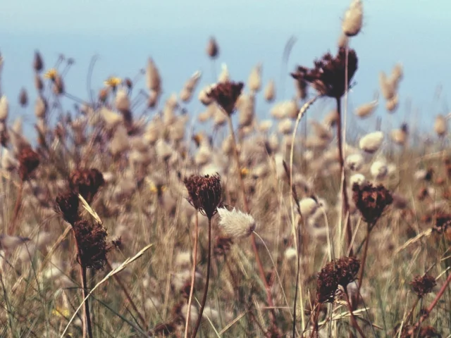 Instagram #sillondetalbert