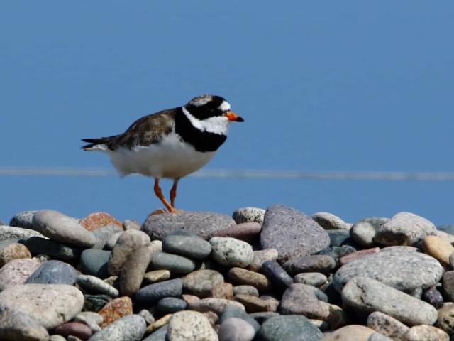 Instagram #sillondetalbert