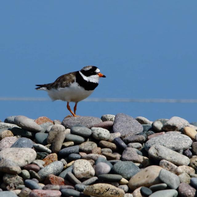 Instagram #sillondetalbert