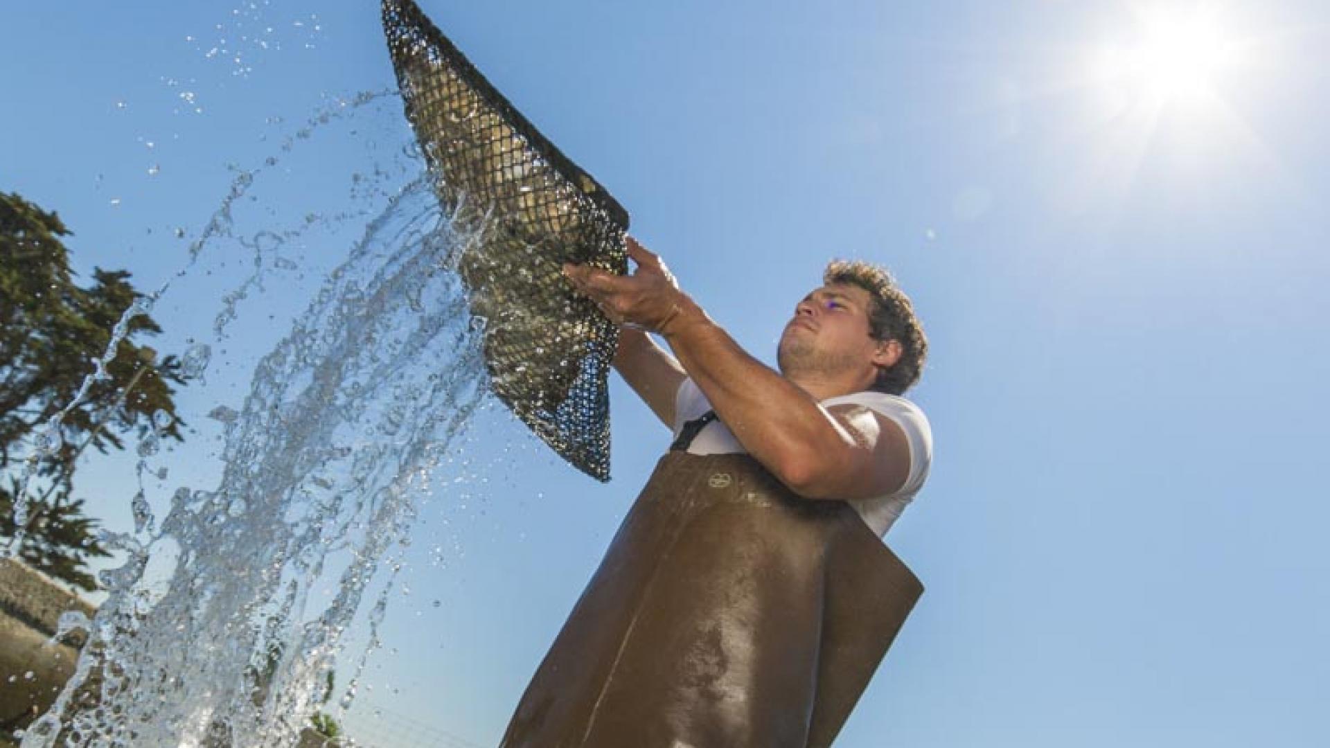 Huitre Fraicheur - Benoit, ostréiculteur à Lanmodez