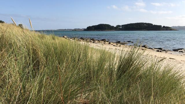 Plage De Toul Gwen Ile Grande