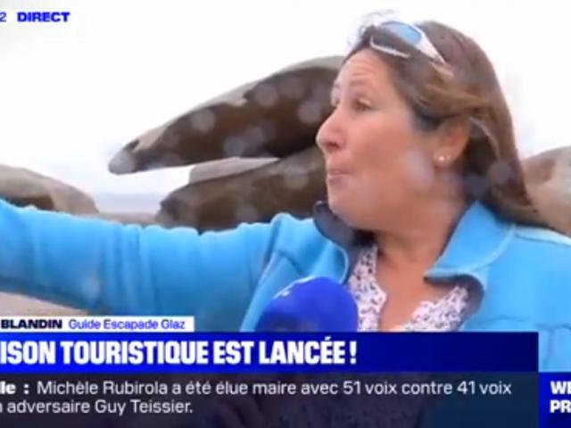 Bfmtv 6 Juillet 2020 Escapade Glaz