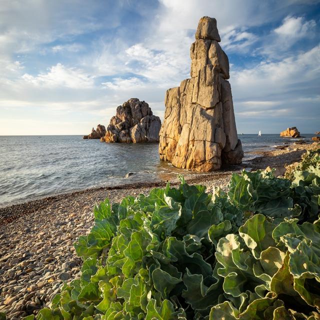 Instagram #plougrescant