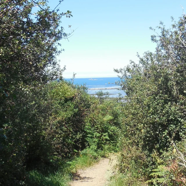 Chemin Port L'épine