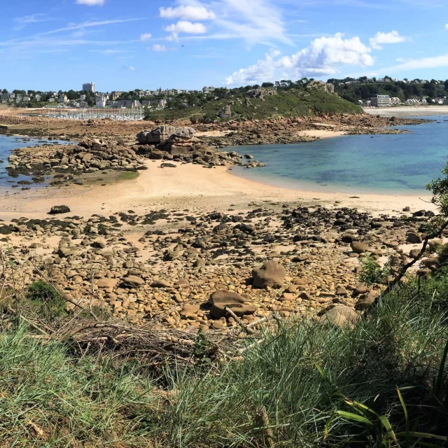 Passage de l'Ile Milliau - Le Castel et le port de Trébeurden