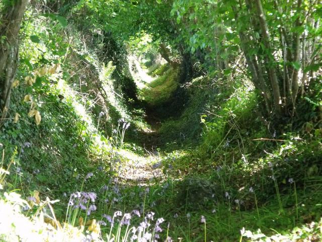 Chemin Creux Loguivy-Plougras