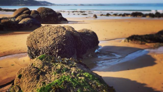 Plage De Goas Lagorn