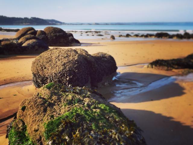 Plage De Goas Lagorn