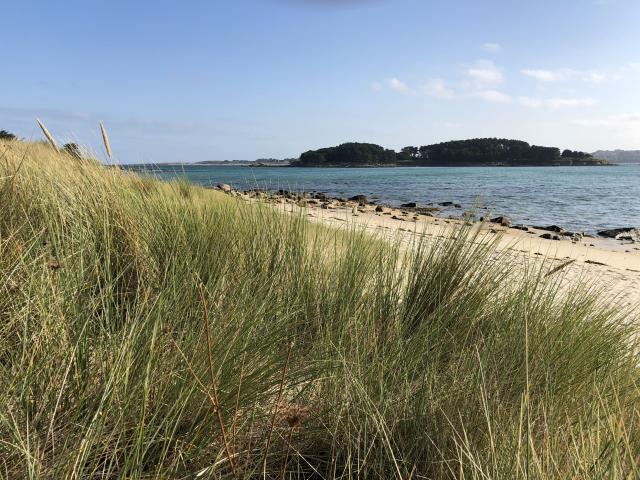 Plage de Toul Gwen Ile Grande