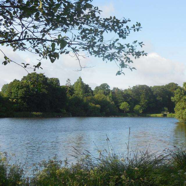 étang Du Poulloguer