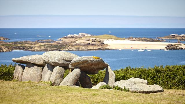 Allée couverte de l'île Milliau à Trébeurden