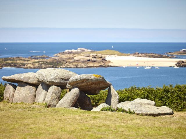 Allée couverte de l'île Milliau à Trébeurden