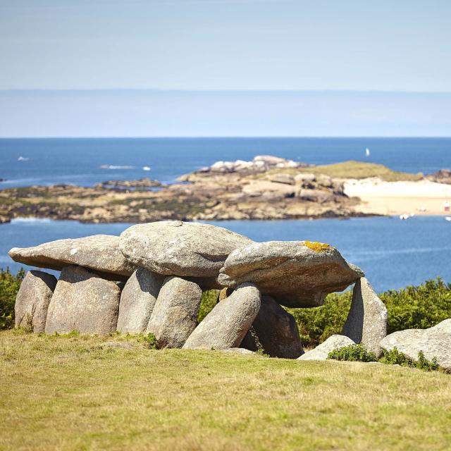 Allée couverte de l'île Milliau à Trébeurden