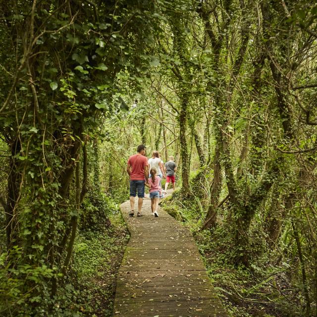 Marais du Quellen - Trébeurden