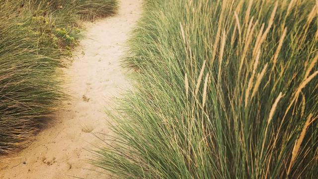 Instagram #sillondetalbert