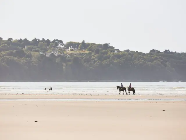 Balade équestre sur la Lieue de Grève