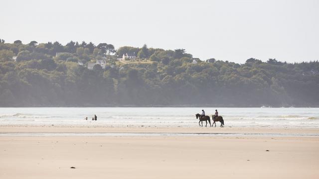 Balade équestre sur la Lieue de Grève
