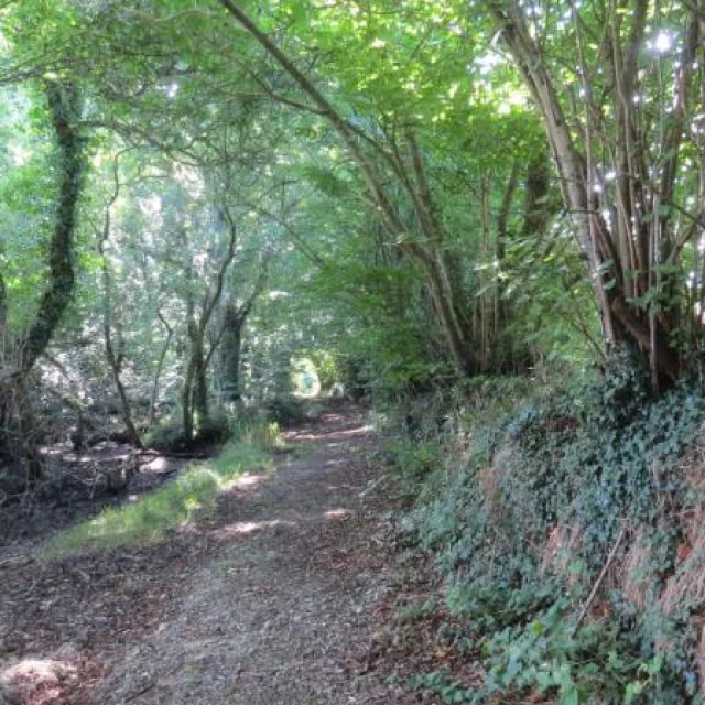 Chemin Keraudy, Ploumilliau