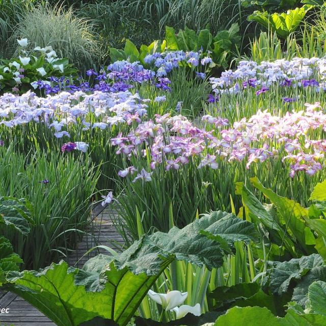 jardins-du-pellinec.jpg