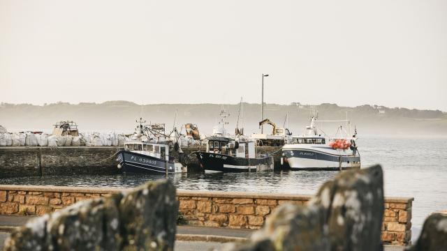 Port de Locquémeau
