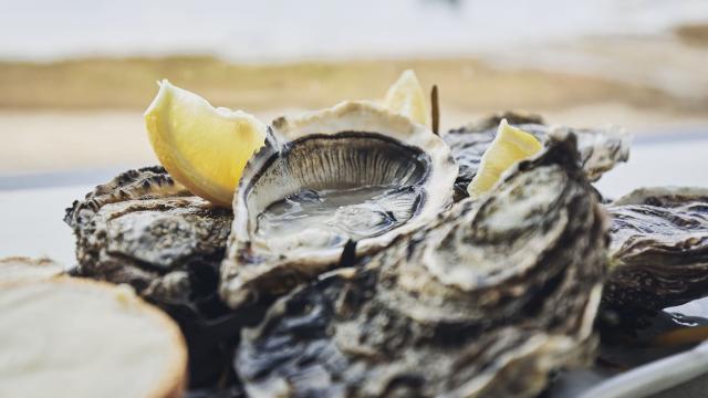 Fruits de Mer - Huîtres