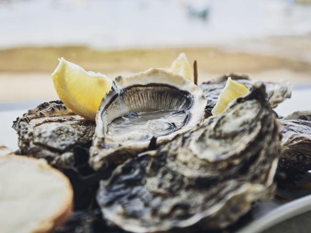 Fruits de Mer - Huîtres