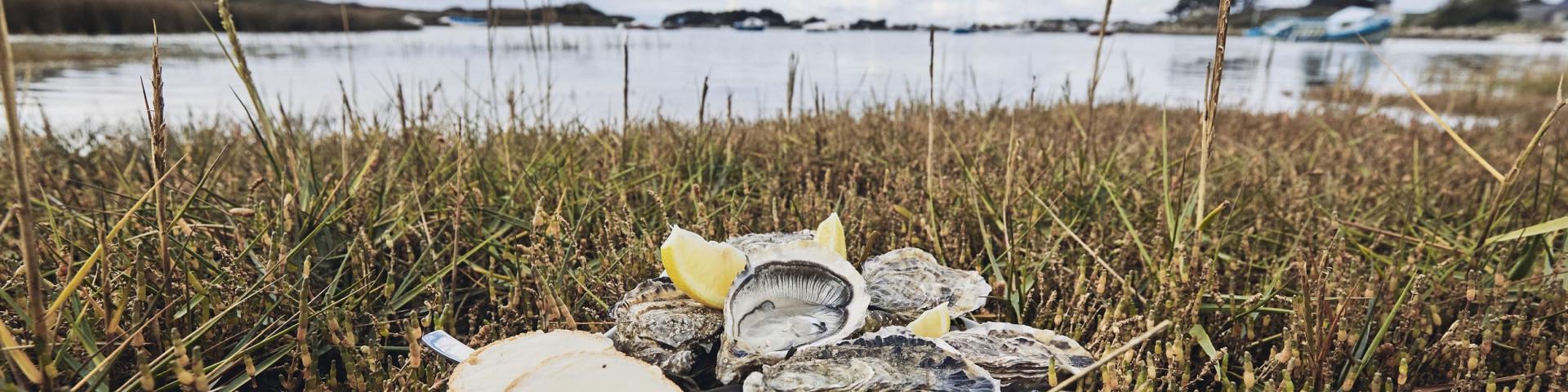 Fruits de Mer - Huîtres