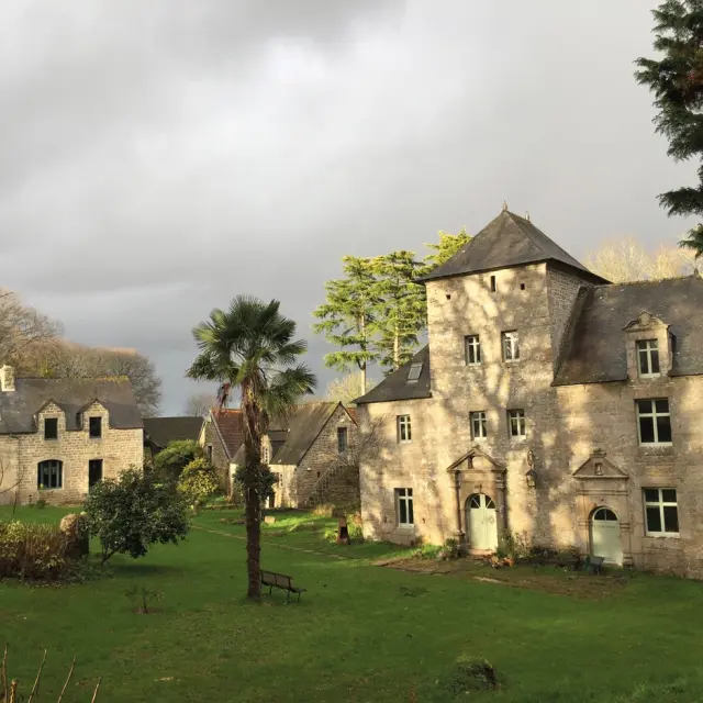 Grand manoir composé de plusieurs fenêtres devant un cour de pelouse avec un palmier au centre