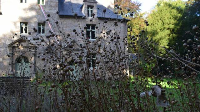 Manoir Goaz Froment Plantation Du Lin 1200
