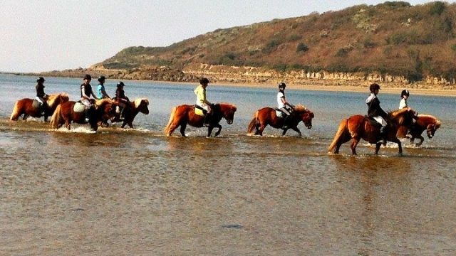 Balade à cheval en bord de mer avec le Poney Club de Kerboriou