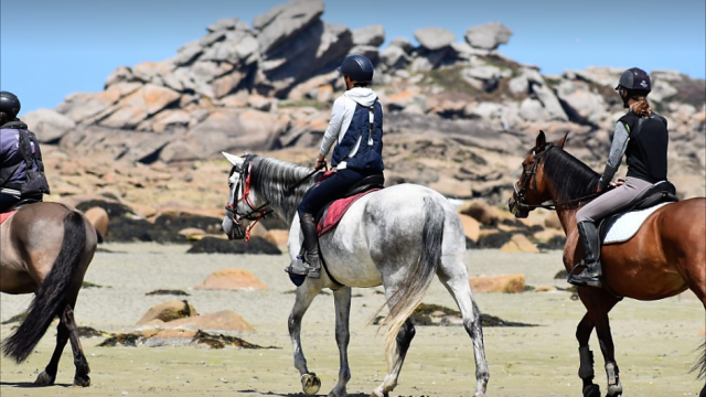 Balade à cheval en bord de mer avec Equitation Saint Samson