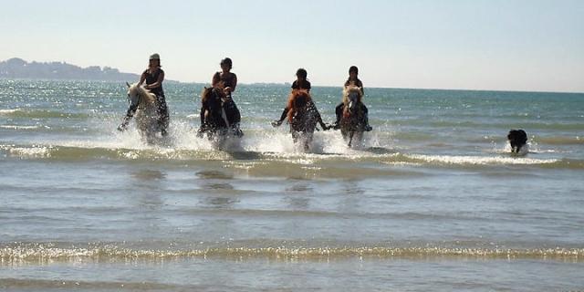 Balade à cheval en bord de mer avec la Ferme Equestre de Keropartz