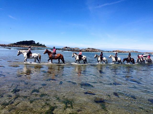 Balade à cheval en bord de mer avec Rulan Equitation