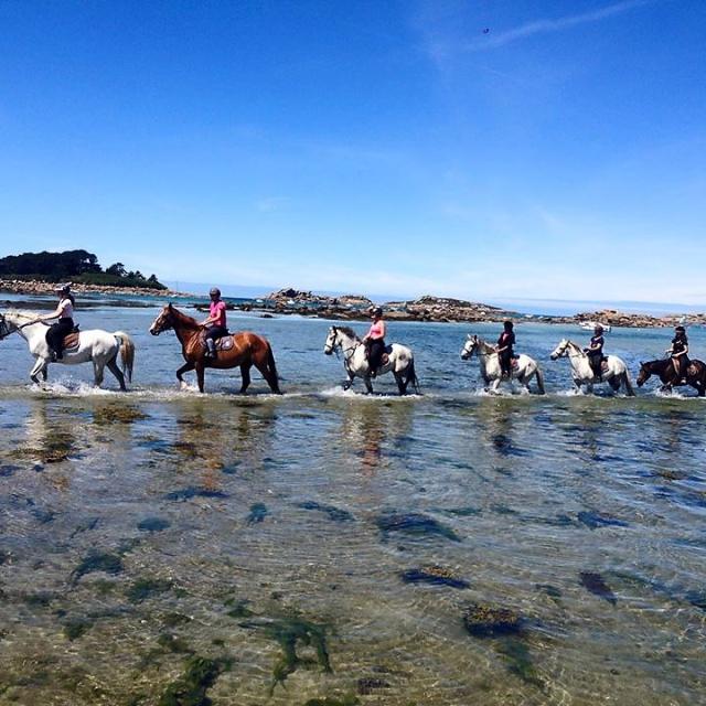 Balade à cheval en bord de mer avec Rulan Equitation