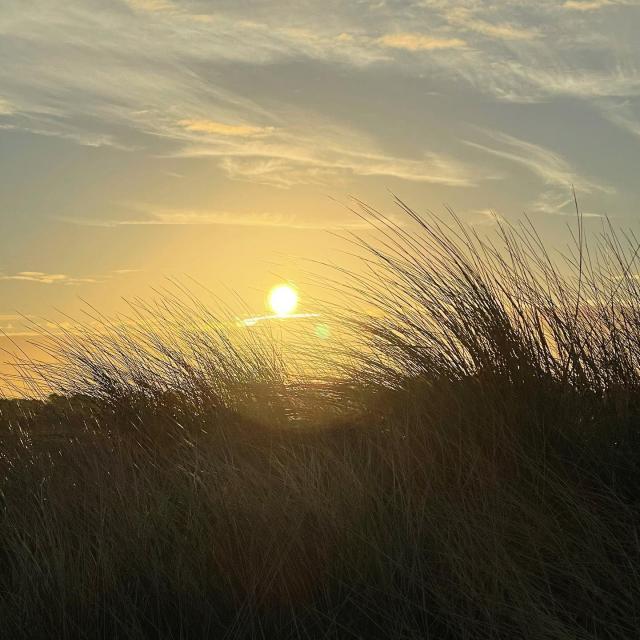 Instagram #sillondetalbert