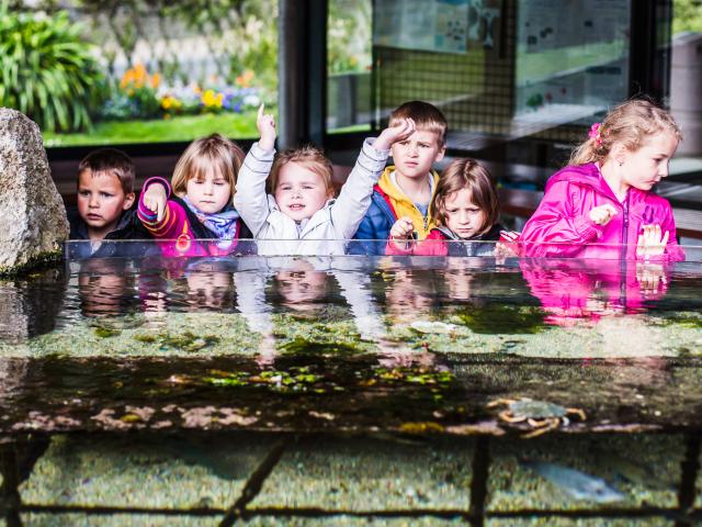 Aquarium Marin 2019.1