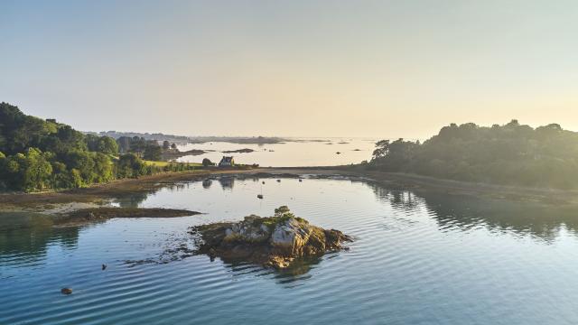 Ile à Bois Lezardrieux (2)
