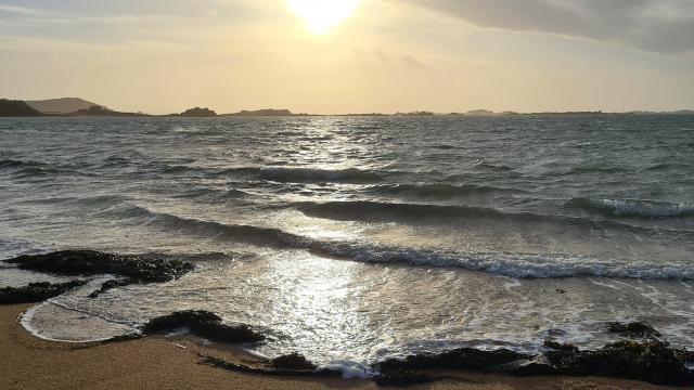 Plage Goas Treiz Trebeurden (2)