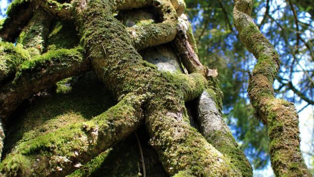 Réserve naturelle de Plounerin
