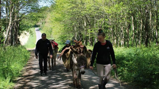 balades-avec-les-anes-a-lanvellec.jpg