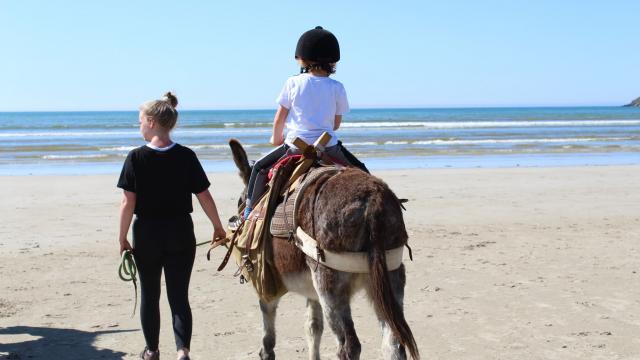 Randonnee Avec Les Anes De La Terre Vers La Mer