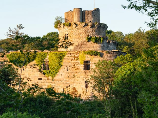 01-tonquedec-04.jpg