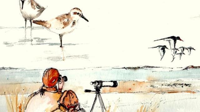 Ornitho Tounnature